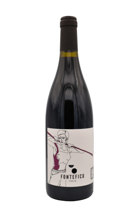 Aglianico 'Costetoste' - Fontefico