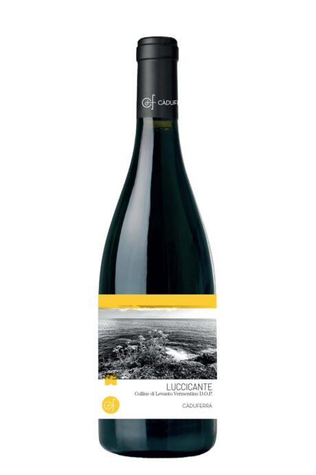 Vermentino Luccicante - Ca' du Ferra